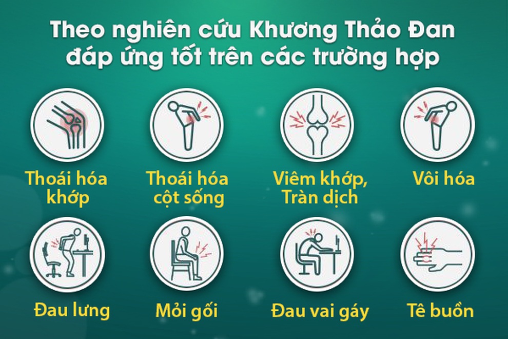 Lý do nhiều người thoái hóa khớp, đau nhức tái đi tái lại tin dùng Khương Thảo Đan - 3 Lý do nhiều người thoái hóa khớp, đau nhức tái đi tái lại tin dùng Khương Thảo Đan - 3