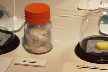 Thực khách nhăn mặt khi nếm thử đồ ăn trong bảo tàng kinh dị