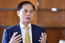 Lần đầu chất vấn Bộ trưởng Ngoại giao về giải pháp phòng chống tham nhũng