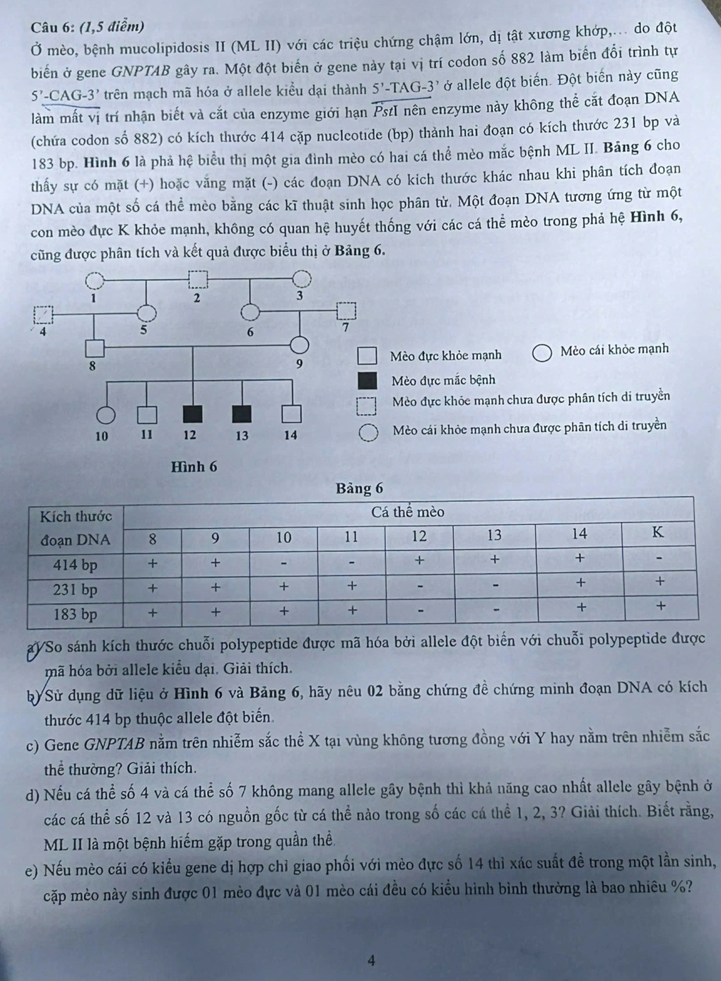 Đề thi môn chuyên Khoa học tự nhiên - sinh học Trường Khoa học Tự nhiên - 4