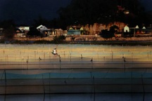 Nông dân rào ruộng, đỏ mắt trông trăng, chờ đất "mọc lộc"