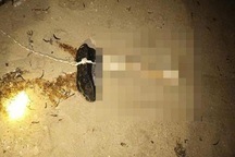 Đoạn xương chân người mang giày trôi vào bờ biển Ninh Thuận