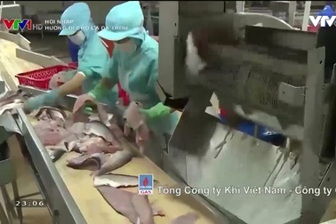 Rào cản trên đường đi của cá da trơn