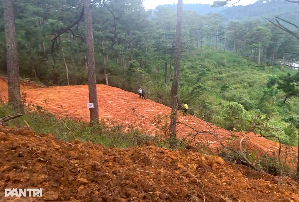 Đề nghị Công an Lâm Đồng vào cuộc vụ cán bộ quản lý rừng bị doạ giết - 1 Đề nghị Công an Lâm Đồng vào cuộc vụ cán bộ quản lý rừng bị doạ giết - 1