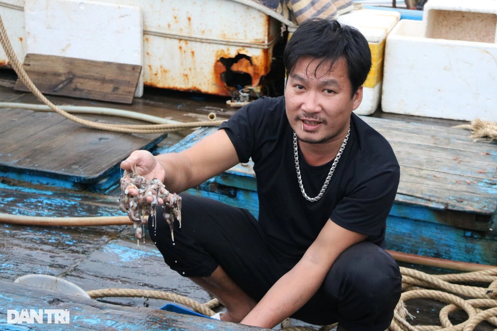 Mỗi chuyến ra khơi 2 ngày đêm, thu nhập ngư dân chỉ đạt khoảng 100.000 đồng - 2 Mỗi chuyến ra khơi 2 ngày đêm, thu nhập ngư dân chỉ đạt khoảng 100.000 đồng - 2