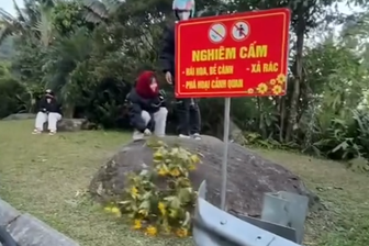 Đôi nam nữ vô tư bẻ hoa dã quỳ ở Ba Vì dù đứng cạnh biển cấm