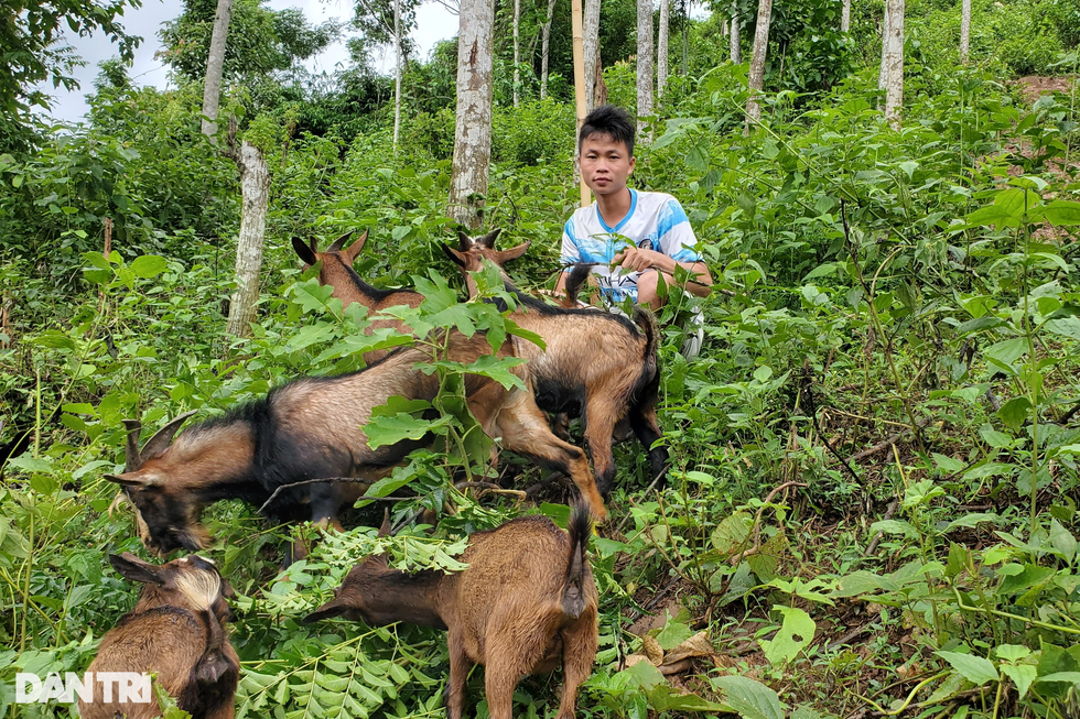 Bệ đỡ giúp bà con vùng đồng bào dân tộc thiểu số thoát nghèo - 2