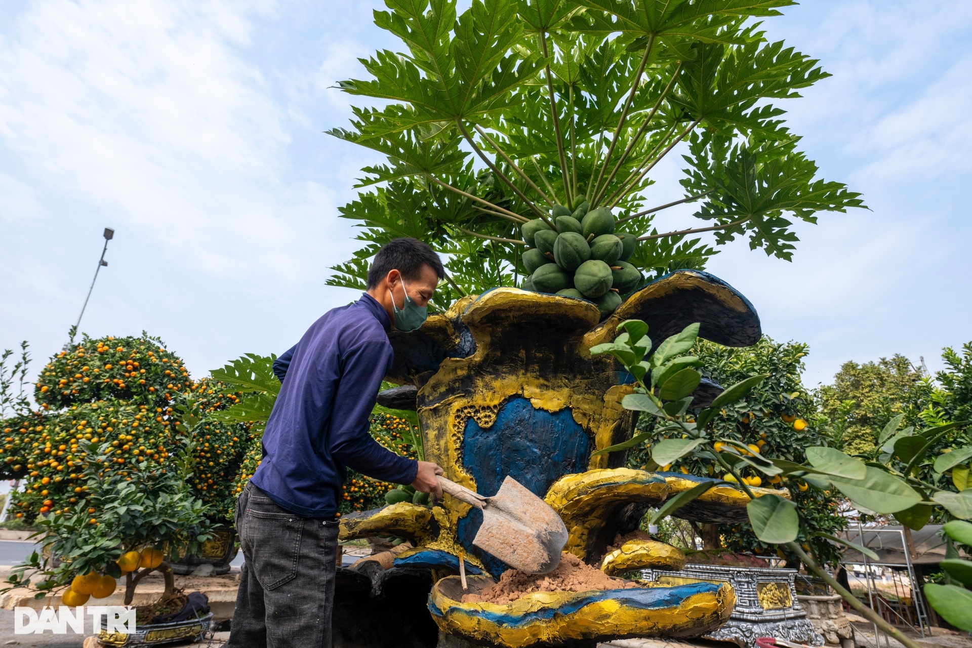 Nông dân bán cây Tết độc lạ phục vụ giới thượng lưu, thu tiền tỷ mỗi năm - 10 Nông dân bán cây Tết độc lạ phục vụ giới thượng lưu, thu tiền tỷ mỗi năm - 10