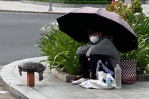 Xôn xao việc rùa răng bị rao bán trên phố với giá 3 triệu đồng