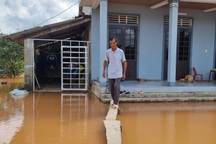 Cứ mưa là nước "bao vây" nhà, dân bắc ván đi trong sân