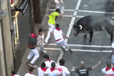 Hai người bị bò húc trong lễ hội “chạy đua với bò tót”