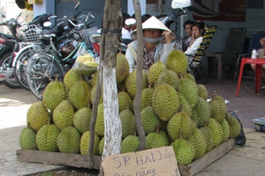 Nông dân than trời vì trái cây đặc sản rớt giá