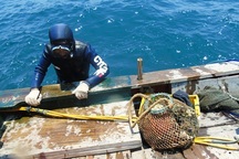 Không khởi tố vụ án thợ lặn ở Formosa bị chết