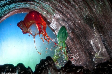 Ngất ngây trước bộ ảnh nghệ thuật “sắc màu của nước”