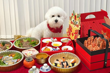 Vì sao vào dịp Tết, thú cưng ở Trung Quốc lại "sướng như vua"?