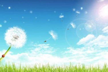 Hạnh phúc giản dị thôi