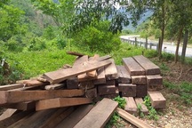 Gỗ lậu được cất giấu trong... trụ sở UBND xã