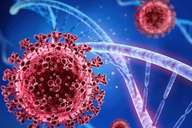 Covid-19 liên tục tiến hóa, biến thể mới XBB.1.16 tăng lây nhiễm ở châu Á