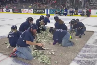 Tranh cãi chuyện giáo viên Mỹ tranh nhau nhặt tiền