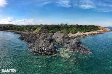 8 điểm check -in Tết ở "xứ sở hoa vàng trên cỏ xanh"