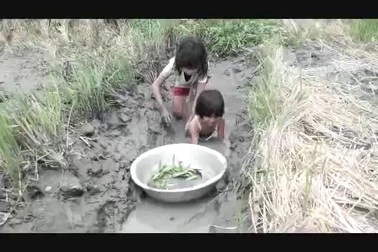 Cảm cảnh 3 chị em mồ côi... hái rau, bắt cá chạy ăn từng bữa