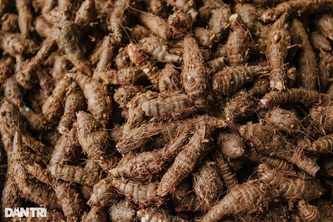 Trồng cỏ dại, người đàn ông khuyết tật khiến cả làng bất ngờ - 4 Trồng cỏ dại, người đàn ông khuyết tật khiến cả làng bất ngờ - 4