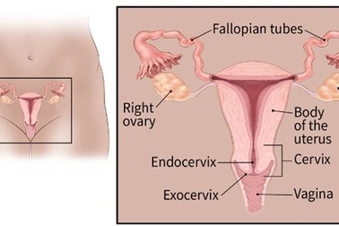 Các phương pháp điều trị ung thư âm đạo