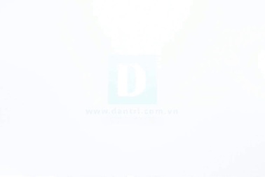 Bé Trương Tẻ đang được điều trị tích cực tại Bệnh viện Sản Nhi Nghệ An