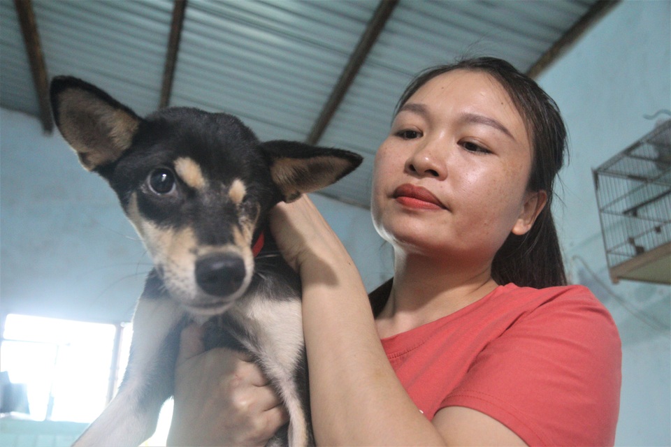 Người “mẹ” của những chú chó, mèo hoang ở Đà Nẵng - 4 Người “mẹ” của những chú chó, mèo hoang ở Đà Nẵng - 4