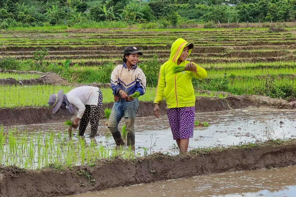 Mùa hè của trẻ em người Xơ Đăng dưới chân núi Ngọc Linh - 3 Mùa hè của trẻ em người Xơ Đăng dưới chân núi Ngọc Linh - 3
