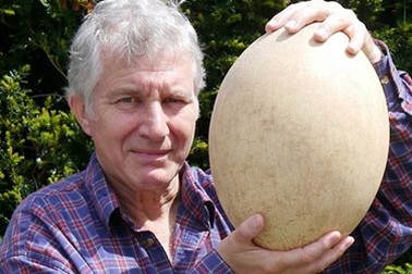 Quả trứng chim voi 500 tuổi giá hơn 80.000 USD