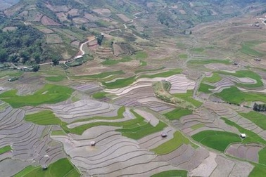 "Bay trên mùa nước đổ" - Ngắm ruộng bậc thang từ trên mây