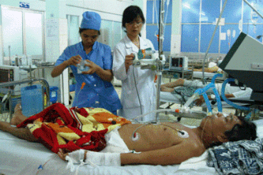 3 người ngộ độc vì ăn nhầm so biển