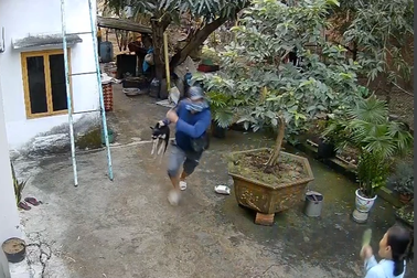 "Cẩu tặc" xông vào nhà cướp chó trước mặt chủ