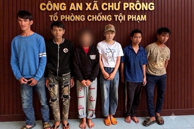 6 thanh thiếu niên vờ đi nhờ xe rồi đánh tài xế cướp tài sản