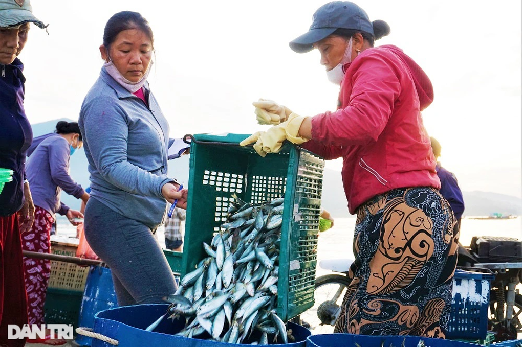 Phiên chợ lúc rạng đông, chỉ bán cá nục tươi - 8 Phiên chợ lúc rạng đông, chỉ bán cá nục tươi - 8