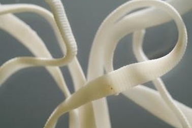 Sán dây sống trong não suốt 4 năm mà không hay biết