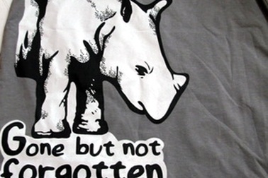 Tê giác Java tại Việt Nam đã thực sự tuyệt chủng