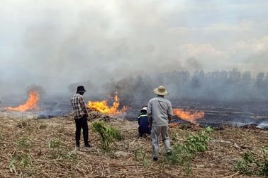 Huy động hàng trăm người dập đám cháy rừng ở Khánh Hòa