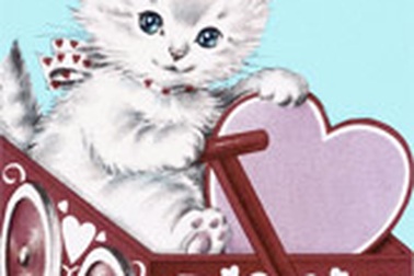 Siêu thị ... chồng