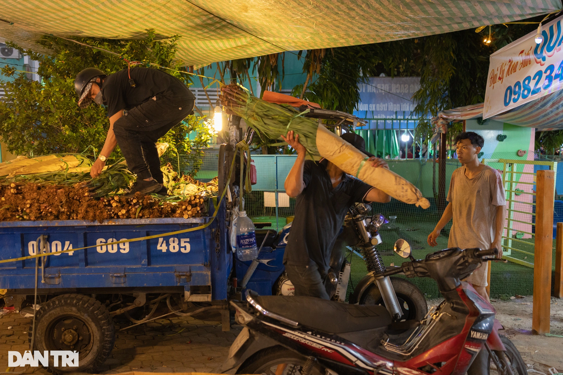 Ngộp thở ở chợ hoa lớn nhất TPHCM ngày giáp Tết - 9 Ngộp thở ở chợ hoa lớn nhất TPHCM ngày giáp Tết - 9