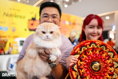 Chú mèo Philippines vượt 120 đối thủ, giành ngôi Hoa hậu mèo quốc tế 2025