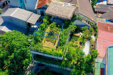 Ông bố "khùng" đưa bể bơi, vườn cây lên mái nhà 250m2 thay cho máy điều hòa