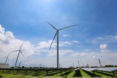 Doanh nghiệp điện gió kêu cứu vì bị cắt giảm công suất kéo dài