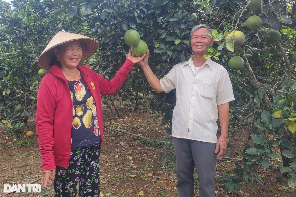 Sau nhiều vấp ngã, vợ chồng lão nông vươn lên thành triệu phú - 1