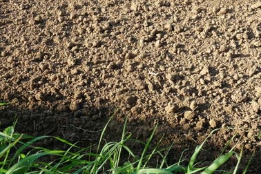 Cảnh báo khả năng đất có thể trở thành một nguồn phát thải CO2 mạnh mẽ