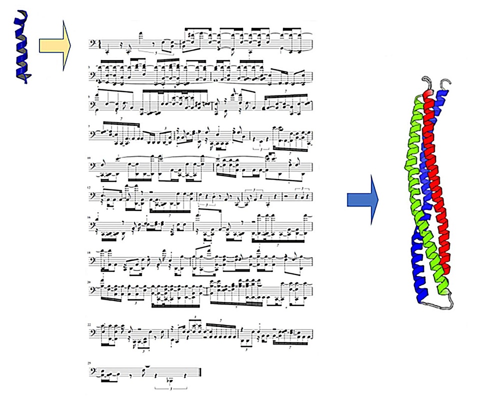 Học máy tạo ra protein mới bằng cách dịch protein thành… các bản nhạc - 1