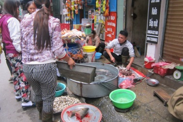 Dân Hà thành rủ nhau  “săn” thực phẩm sạch trước Tết