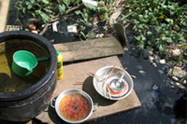 Muỗi tấn công dân Nhà Bè