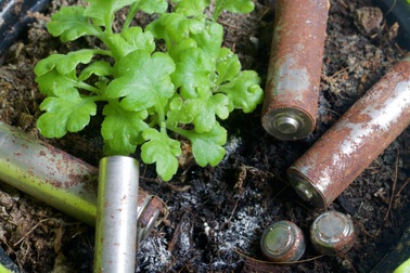 Làm gì khi những cục pin đã cạn sự sống?